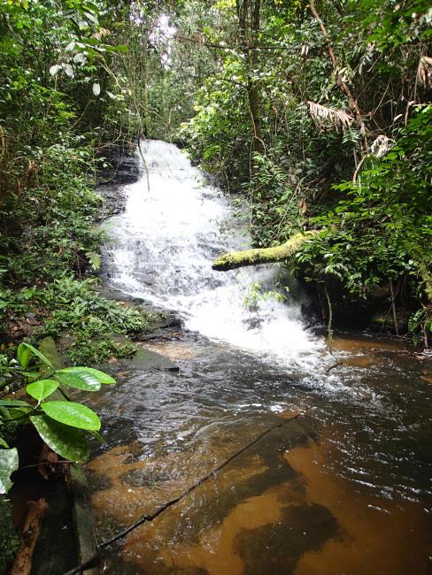 Petite chute dans le sud des Monts Birougou