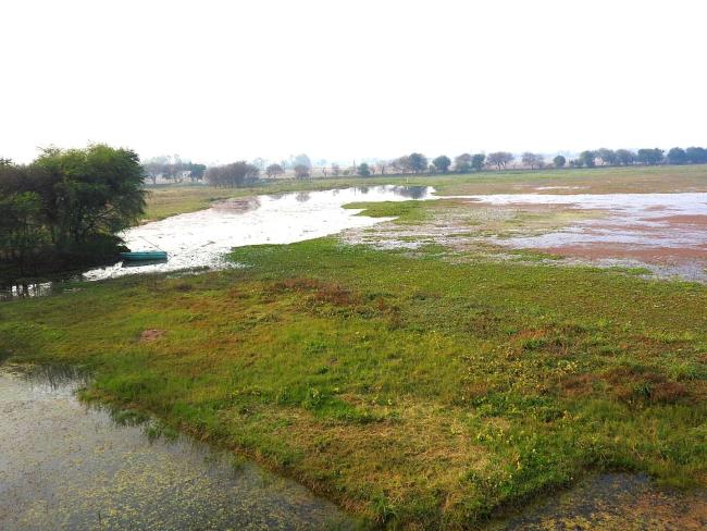 Panoramic view of Sandi Bird Sanctuary