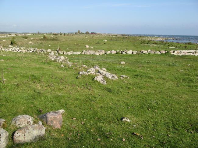 The central sub site. Grazed wetland near the shoreline