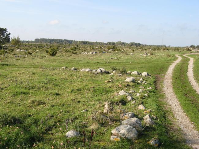 The central sub site. Dryer land with occurrence of bush dominated by Juniperus communis ssp. communis