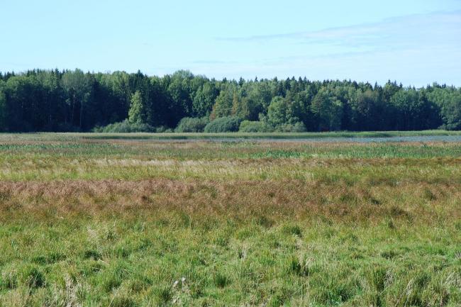 View over one of the southern bays of the lake Fläcksjön.