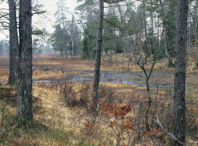 Kyrkebacken-Bonnabygget