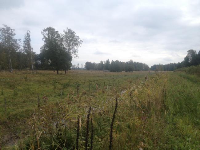 Sörby pasture nearby east Kvismarern.