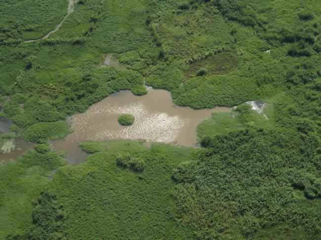 Skyview of Lake