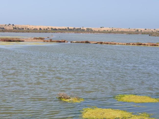 Complexe de Sidi Moussa-Walidia
