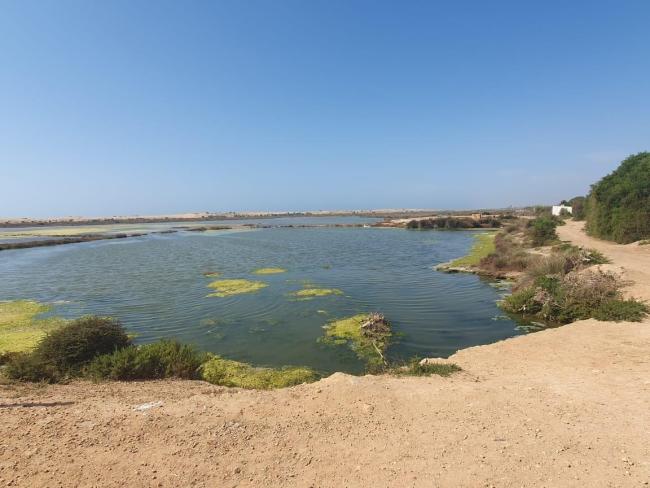 Complexe de Sidi Moussa-Walidia