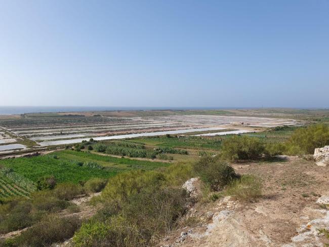 Complexe de Sidi Moussa-Walidia