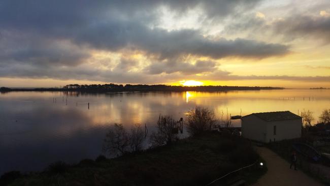 Etang de Biguglia - Janvier 2022