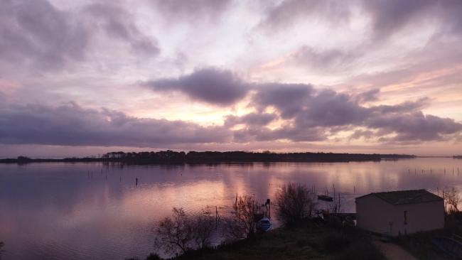 Etang de Biguglia et ses couleurs changeantes Janvier 2022