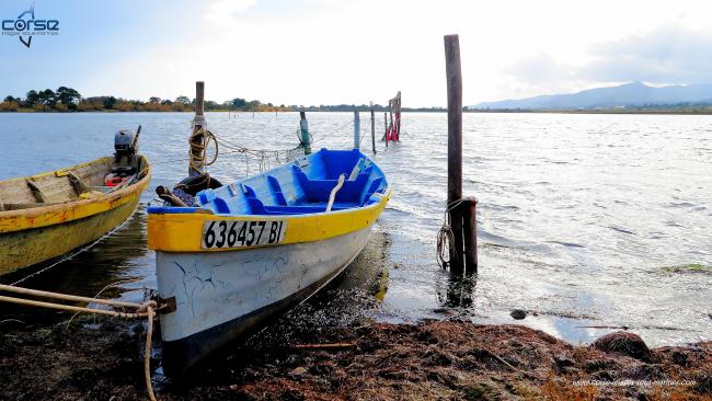 bateaux pêcheur étang de Palo