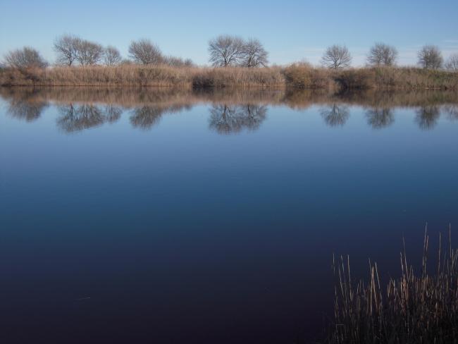 Etang de la Claveled