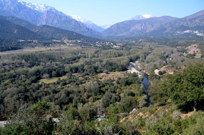 Tourbière de plaine