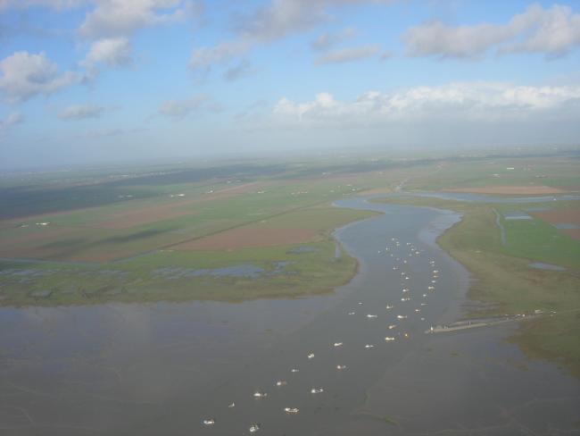 Estuaire de la Sèvre niortaise