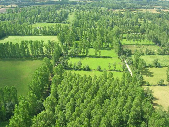 Marais mouillé