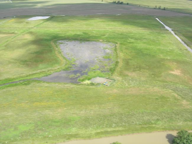 Prairie de Champagné les marais