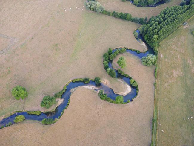 Méandre de la Saulx Marne