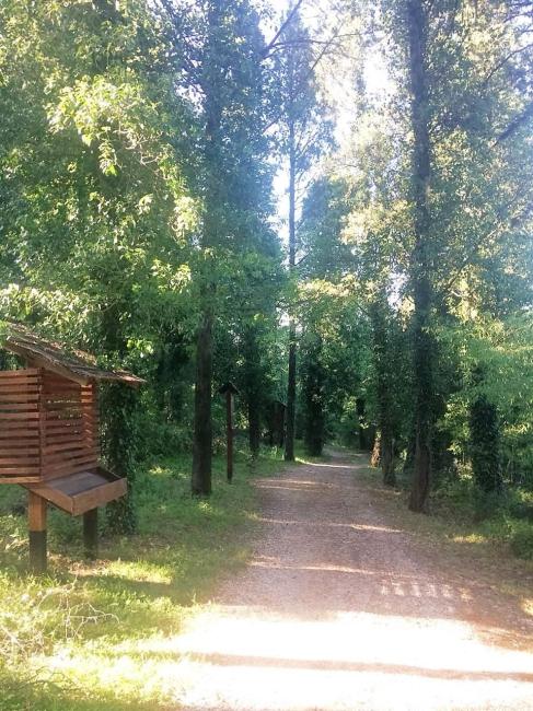 Educational trail