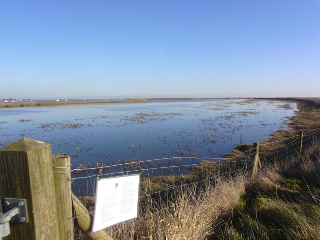 View of All Fleets Marsh