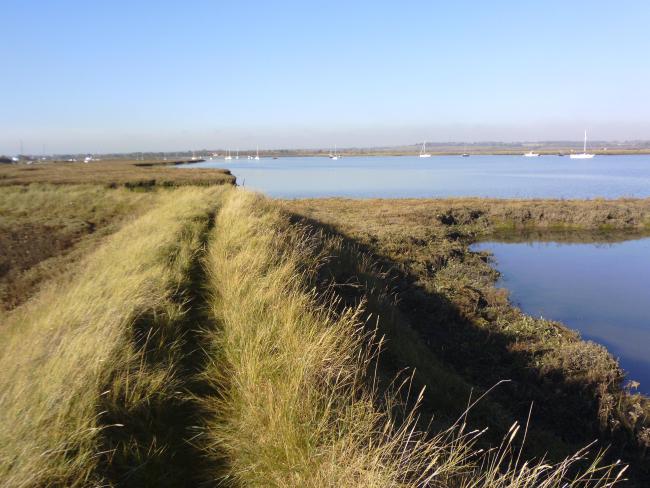 View up the River Crouch from Brandy Hole