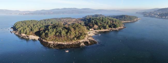Isla de Cortegada. Panorámica
