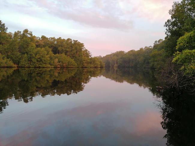 Paisaje de la Reserva de la Biosfera La Encrucijada