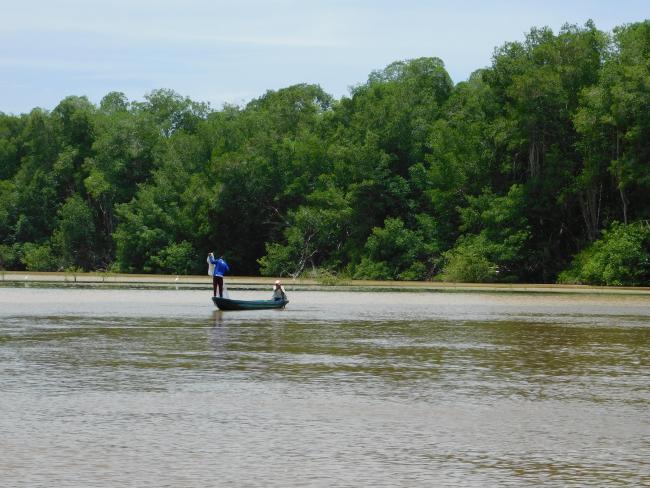 Paisaje de la Reserva de la Biosfera La Encrucijada