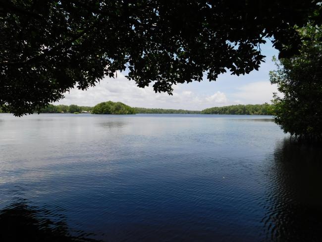 Paisaje de la Reserva de la Biosfera La Encrucijada