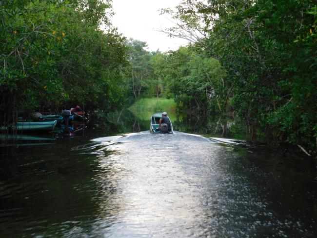 Paisaje de la Reserva de la Biosfera La Encrucijada