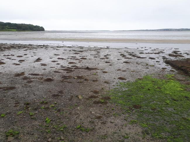 Cummeen Strand 