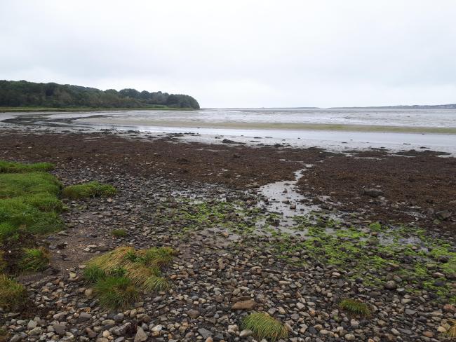 Cummeen Strand 