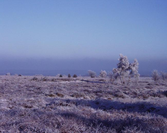 Fagnes en Hivers