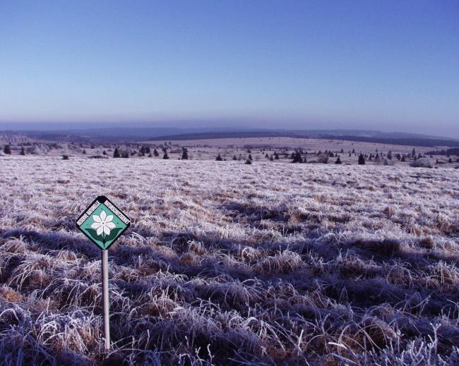 Paysage Fagnes wallonnes