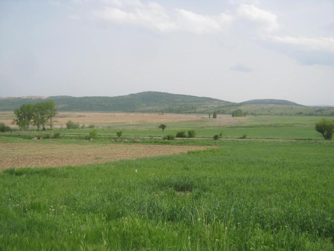 Western part of the wetland with Chepan Mountain in the background.