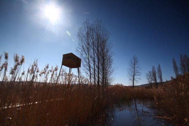A bird watchover in Dragoman marsh.