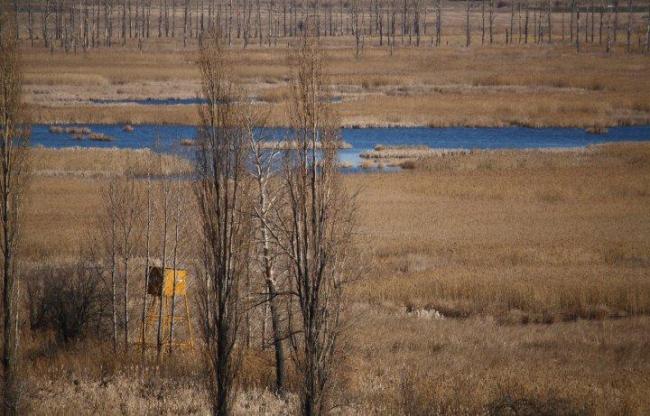 Dragoman marsh.