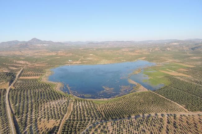 Panorámica de la laguna del Conde o El Salobral (municipio de Luque, Córdoba)