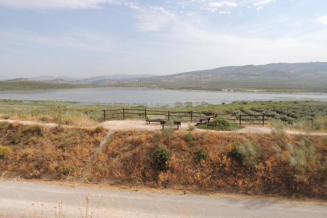 Laguna del Conde o El Salobral (municipio de Luque, Córdoba); vista desde la vía verde y el mirador
