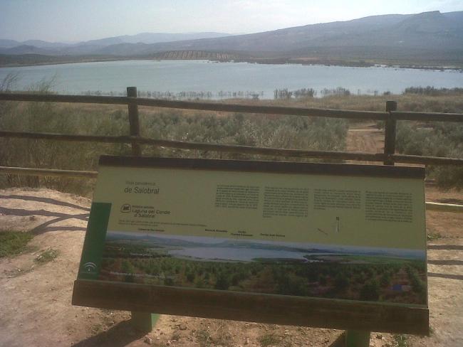 Laguna del Conde o El Salobral (municipio de Luque, Córdoba); vista desde el mirador