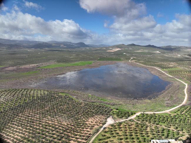 Panorámica aérea de la laguna del Conde o El Salobral (municipio de Luque, Córdoba)