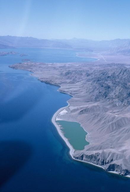 Vista aérea del Estero del Cardón