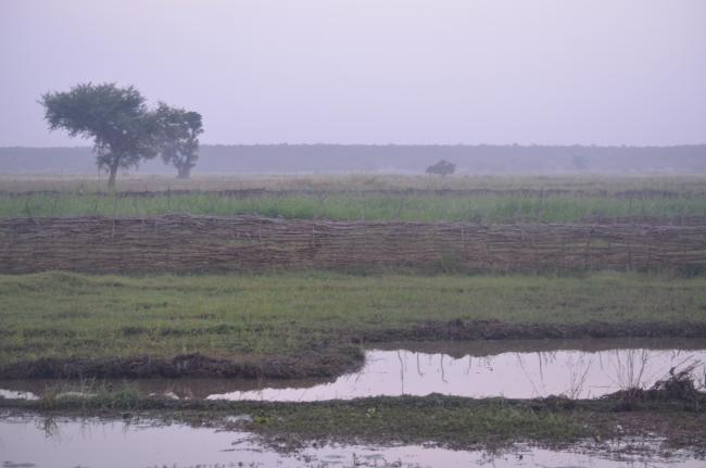 Moyen Niger II