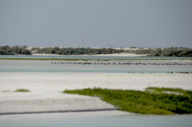 Kinasah lagoon