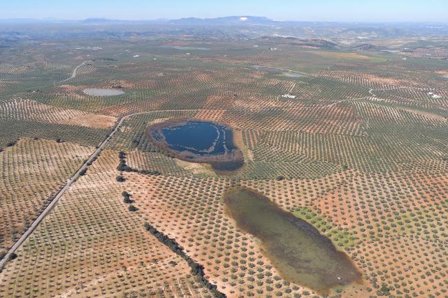 Panorámica de las lagunas de los Jarales, el Remendado y Molina Ramírez (municipio de Lucena, Córdoba)