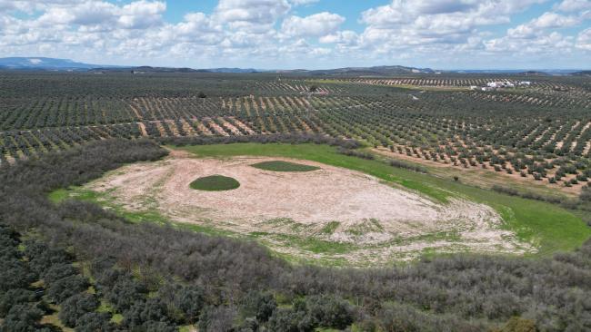 Panorámica de la laguna de los Jarales (municipio de Lucena, Córdoba) tras trabajos de restauración