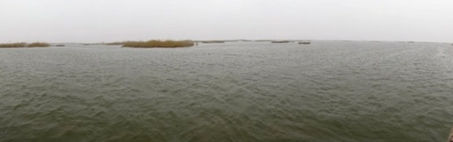 AL-Baghdadiya/ Central marsh/ Al-Nasiryah