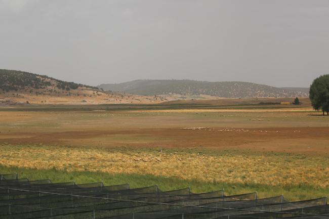 Dayet Hachlaf à sec_Vue panoramique 