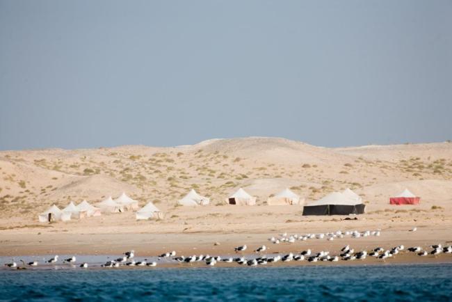 Campement touristique
