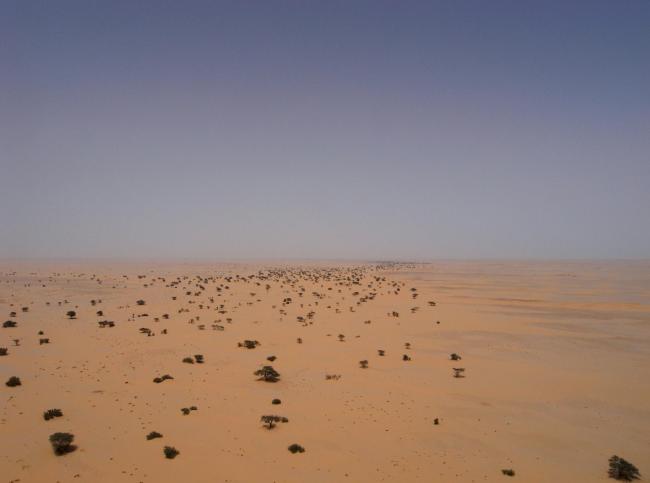 Oued Chibka