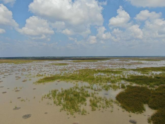 Landscape image of the Kazhuveli Bird Sanctuary