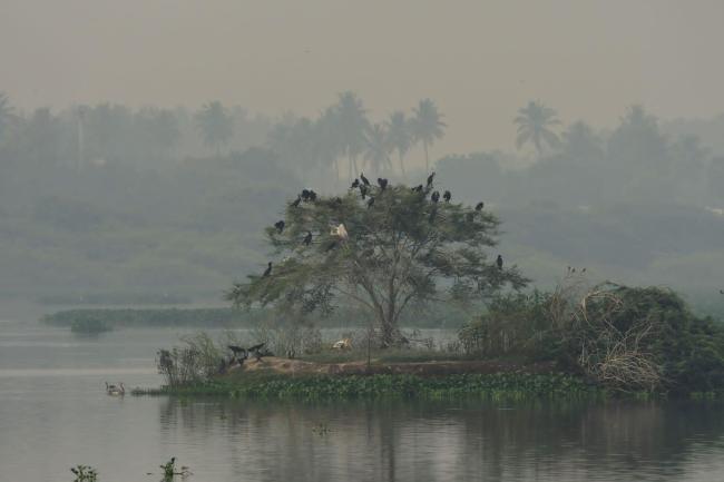 Landscape image of Nanjarayan Bird Sanctuary